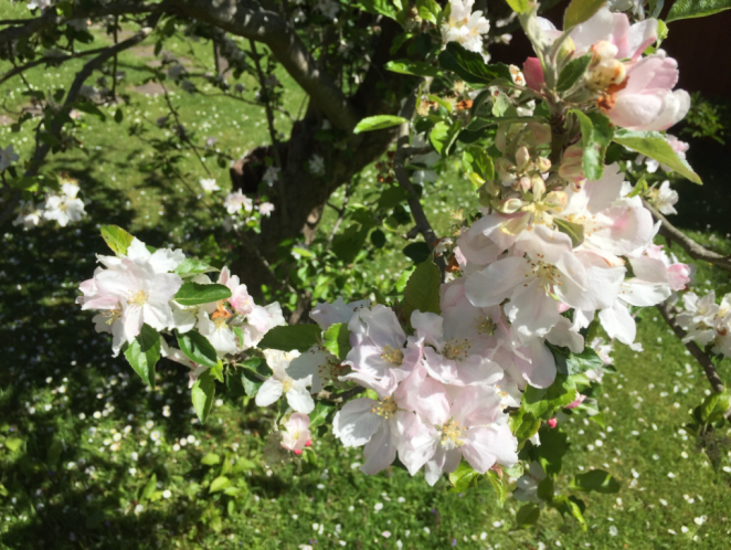 Screen Shot 2018-05-23 at 20.46.15